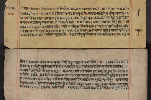 Sanskrit manuscript from Nepal: the Piṅgalāmatatantra (a treatise on religious and ritual architecture)