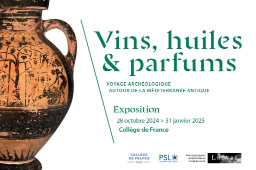 Amphore à figures noires avec une scène de vendanges