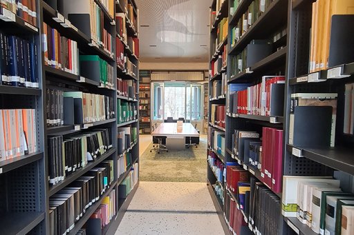 Ancient Near East Library