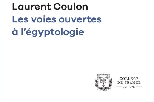 Cover of the digital edition of Prof. Laurent Coulon's opening lecture