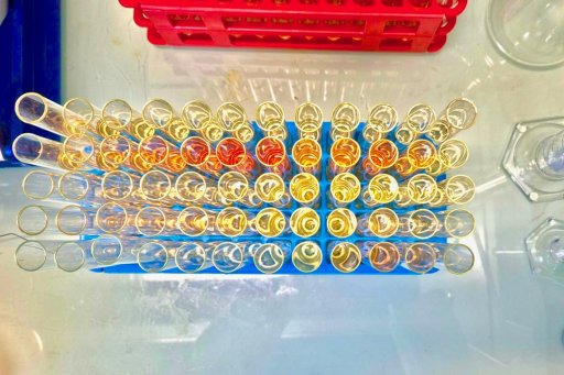 Tubes à essais de laboratoire vus de haut
