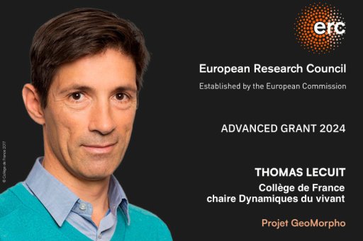 Visuel présentant Thomas Lecuit lauréat de l'ERC Advanced Grant 2024