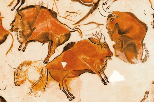 Le Collège de France vous souhaite une bonne année 2026 !