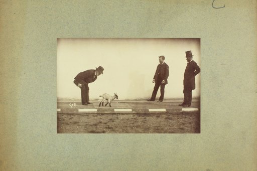 Etienne-Jules Marey : marche du chevreau