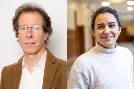 Stéphane Mallat et Taraneh Sayadi