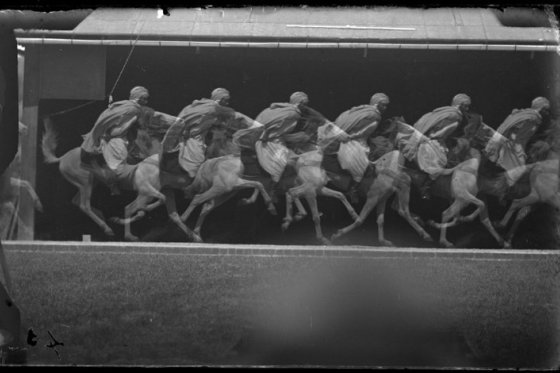 Cavalier par Etienne Jules Marey