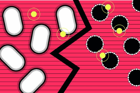 Illustration Aude Bernheim