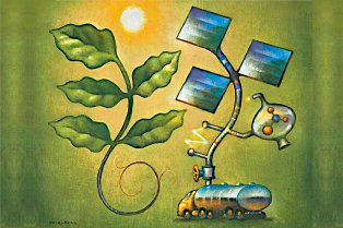 Catalysis and energy storage 