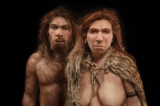 Reconstitution par E. Daynès basée sur le squelette humain presque complet de l’espèce Homo neanderthalensis découvert à la Chapelle-aux-Saints en Corrèze (France) par Amédée, Jean et Paul Bouyssonie en 1908