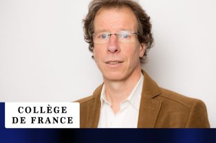 Podcasts Stéphane Mallat