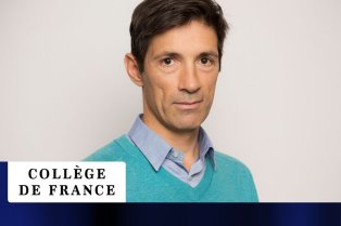 Podcasts Thomas Lecuit