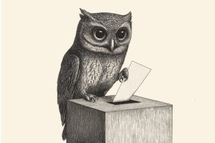 Dessin d'un hibou glissant un bulletin dans une urne