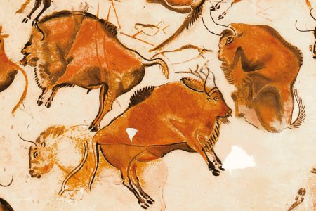 Le Collège de France vous souhaite une bonne année 2026 !