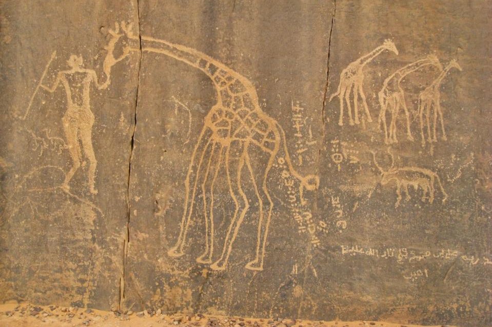 Peintures rupestres du Shahara