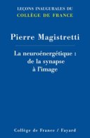 La neuroénergétique : de la synapse à l'image