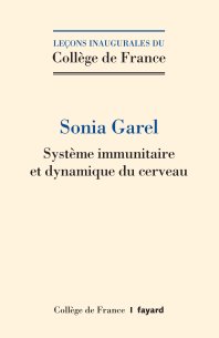 Système immunitaire et dynamique du cerveau