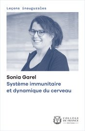 Système immunitaire et dynamique du cerveau