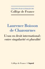 Couverture de l'édition imprimée de la leçon inaugurale de la Pr Boisson de Chazournes