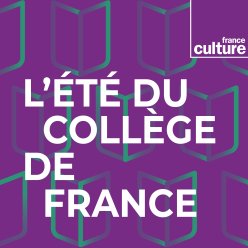 Vignette de ma série radiophonique de France Culture "L'Été au Collège de France"