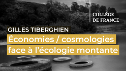 Gilles Tiberghien - Économies cosmologies