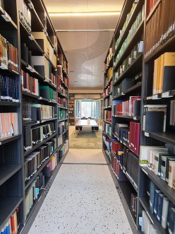 Bibliothèque du Proche-Orient ancien