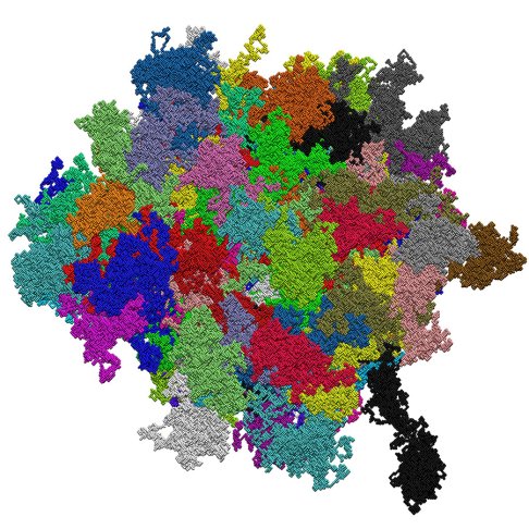 Polymer physics in cell nucleus