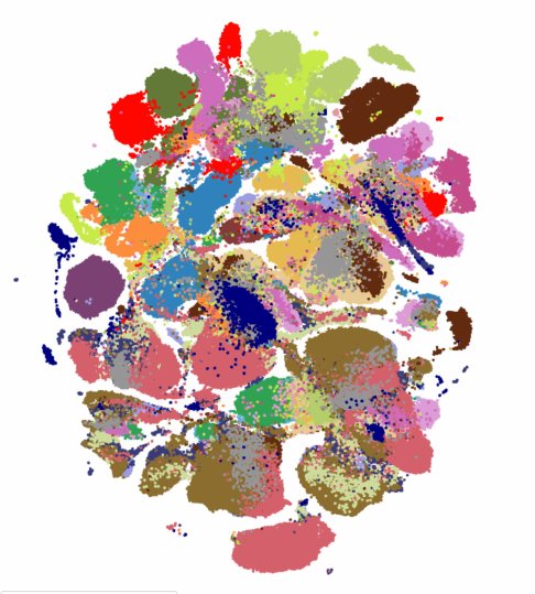 Multicolored point cloud representing different human cell types grouped by similarity in a single-cell transcriptomics analysis.