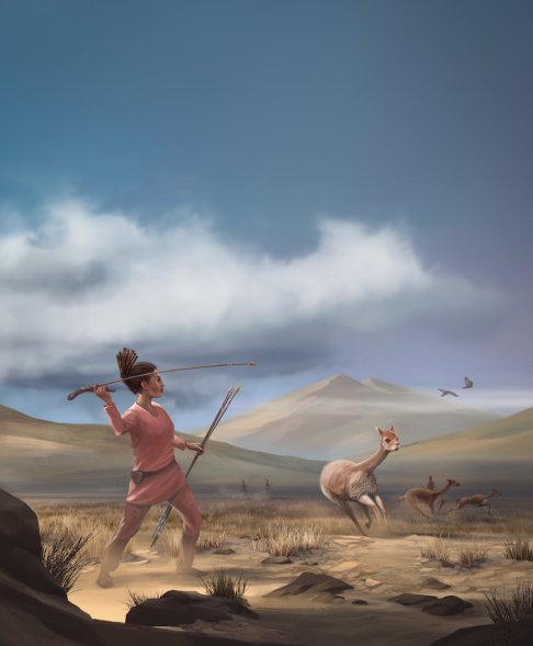 Illustration d’une personne préhistorique chassant avec des lances, entourée de camélidés en mouvement dans un paysage désertique