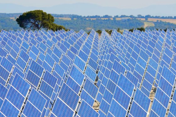 Field of photovoltaic panels