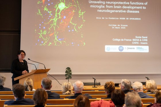 Sonia Garel lors du prix de la Fondation Roger de Spoelberch en mars 2025