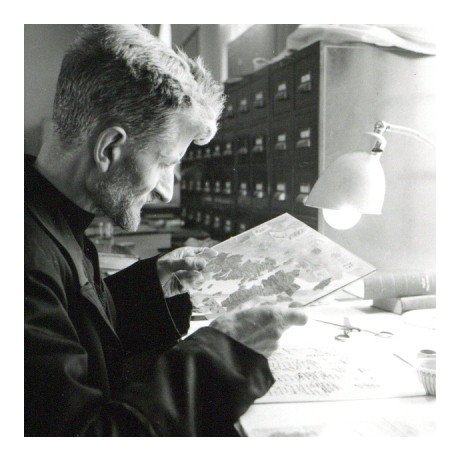 Jean Starcky working on the Dead Sea Scrolls at the Palestinian Archaeological Museum in Jerusalem