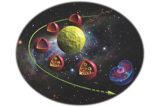 Schematic representation of the future of biomimetic and biofunctional polymers in nanomedicine and as a model for artificial cells
