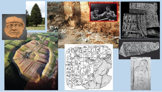 Collage de différentes images