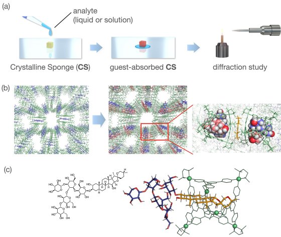 Schémas illustrant une méthode d’analyse par éponge cristalline : (a) Une goutte de liquide contenant une molécule est déposée sur un petit cristal. La molécule est absorbée, puis le cristal est analysé par diffraction. (b) Trois vues successives montrent la molécule piégée à l’intérieur d’un réseau cristallin : vue large, zoom, puis détail atomique avec des sphères colorées. (c) La molécule étudiée est représentée sous trois formes : formule chimique, modèle 3D, puis intégrée dans une cage moléculaire