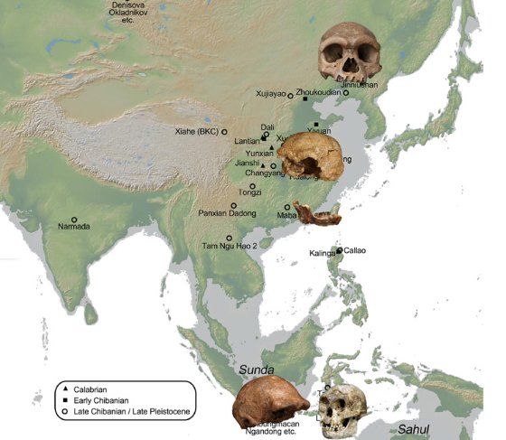 Carte de l’Asie présentant la répartition de plusieurs fossiles humains, avec des crânes et autres restes fossiles indiqués sur différents sites