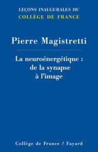 La neuroénergétique : de la synapse à l'image