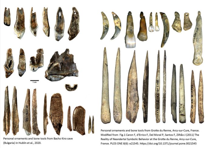 Parures et outils en os de la grotte Bacho Kiro et de la grotte du Renne