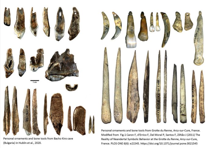 Bone ornaments and tools from Bacho Kiro Cave and Reindeer Cave