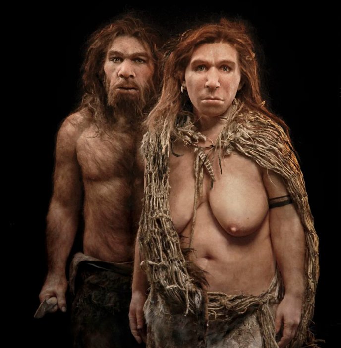 Reconstitution par E. Daynès basée sur le squelette humain presque complet de l’espèce Homo neanderthalensis découvert à la Chapelle-aux-Saints en Corrèze (France) par Amédée, Jean et Paul Bouyssonie en 1908