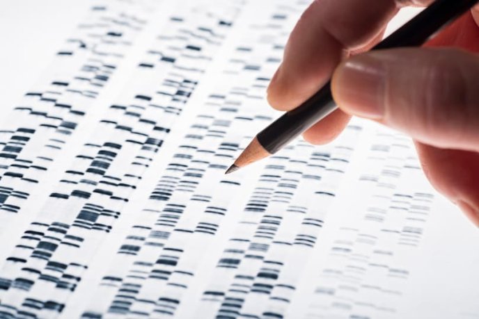 Carte de séquençage d'un génome