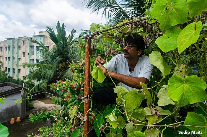 A man works on his rooftop garden in Kolkata, India