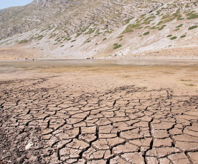 Cracked desert soil