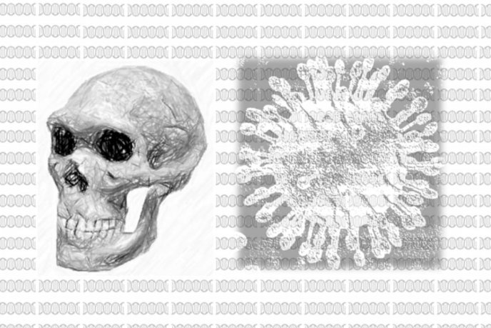 Drawing of a human skull and a virus