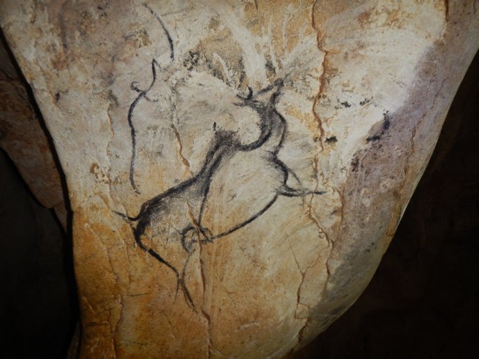 Dessin d'un cerf géant Megaloceros sur un mur de la grotte Chauvet