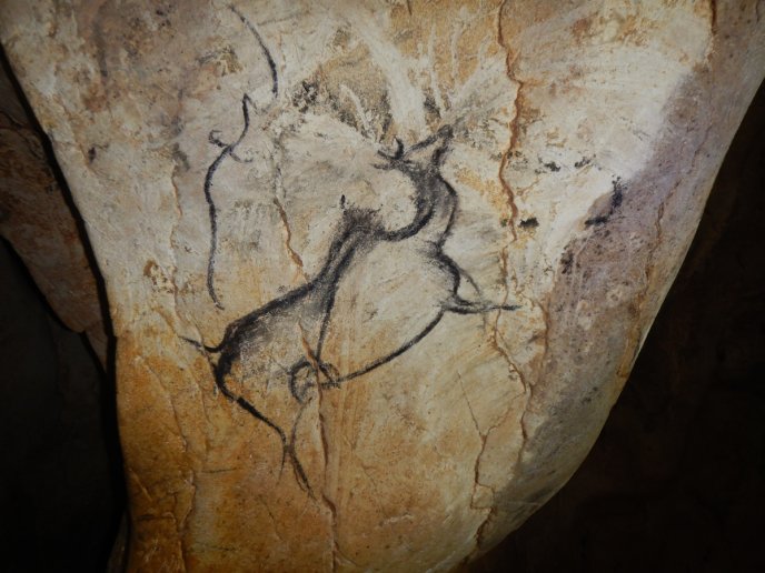 Drawing of a giant Megaloceros deer on a wall in the Chauvet cave