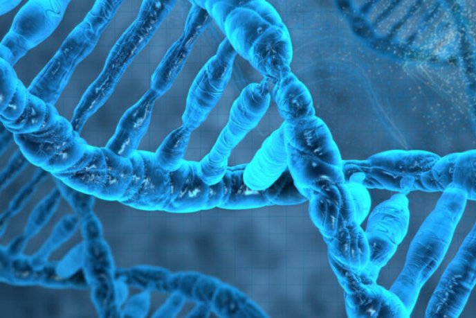 DNA repair in cancer evolution and therapy