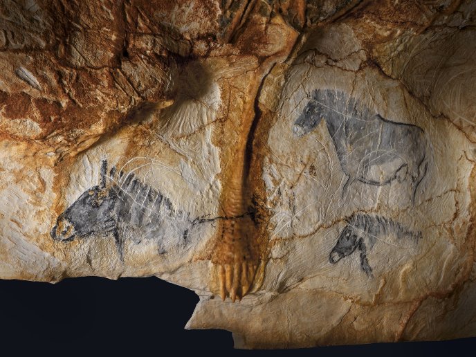 Panel of horses in the Cosquer cave