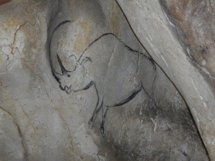 Drawing of a woolly rhinoceros on a wall in the Chauvet cave