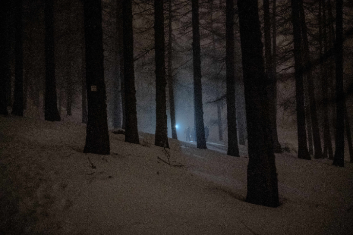 Person crossing in a snow-covered forest