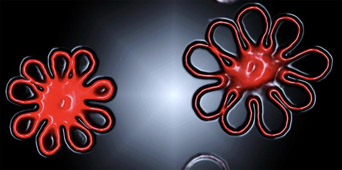 Mechanism of polymer vesicle formation 